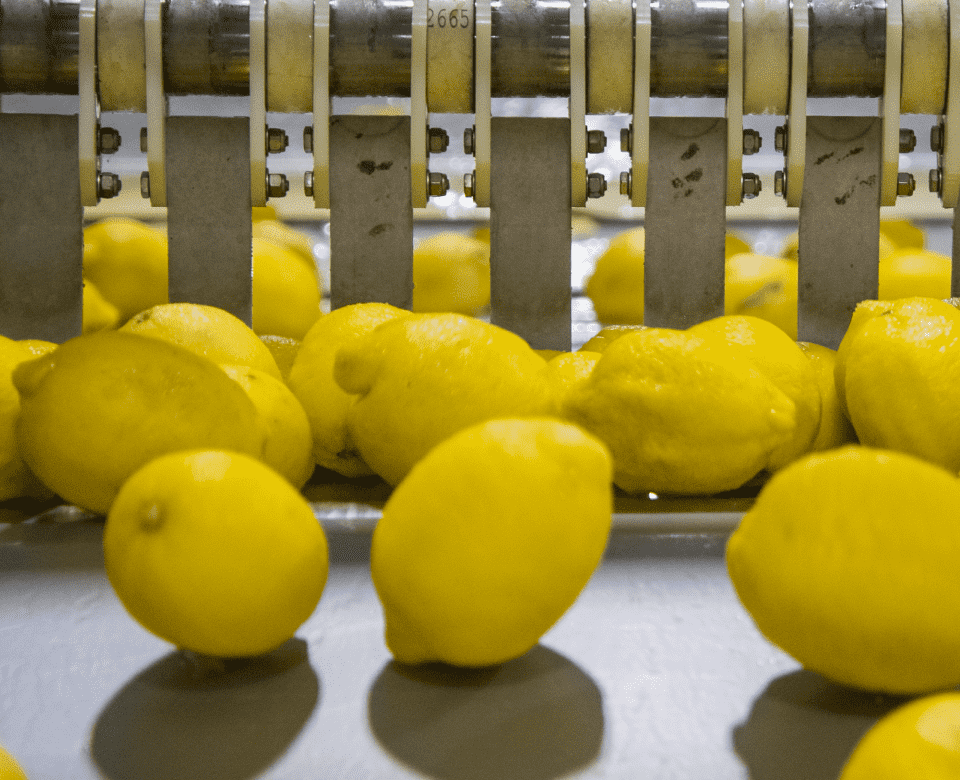 Lemons from Bay Center Foods.